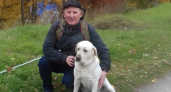 В Республике Коми всего пять инвалидов имеют собак-поводырей