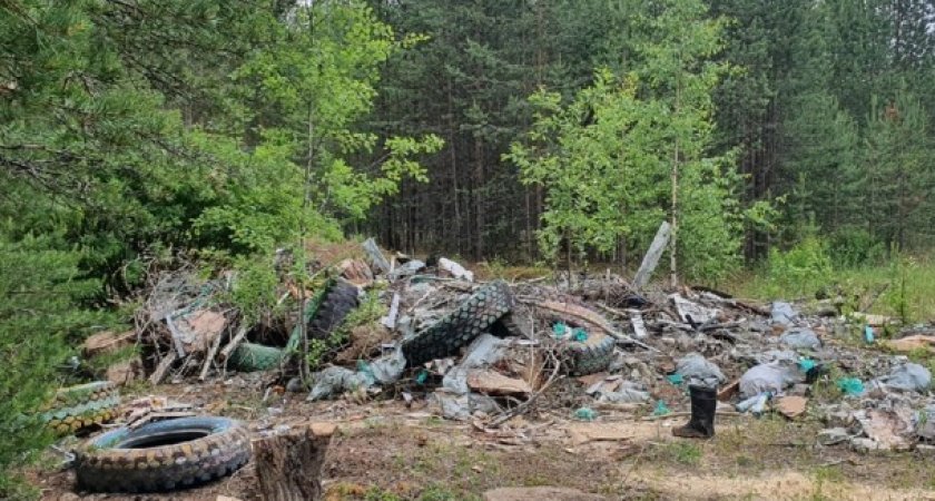В Сосногорске не спешат убирать свалку