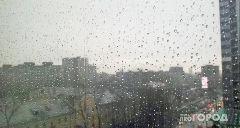 «Дожди, дожди и еще раз дожди!»: синоптики рассказали о погоде в Коми на выходных