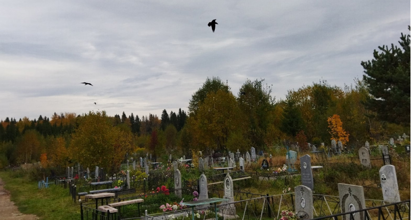 "Введены QR-коды": необычный эксперимент на одном из кладбищ России