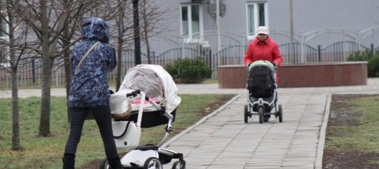В России хотят запретить суррогатное материнство