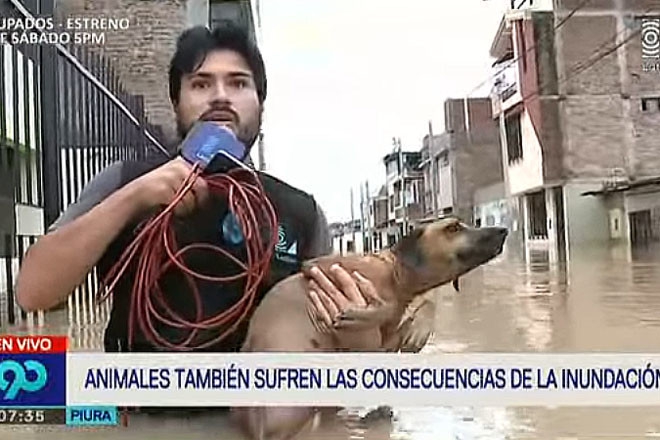 Репортер остановил прямой эфир ради спасения собаки