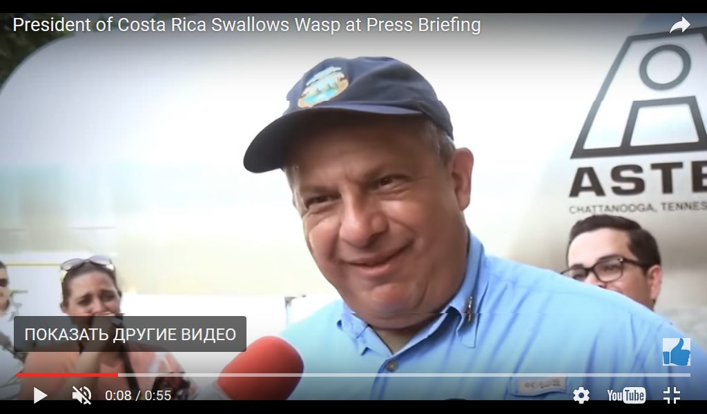 Президент Коста-Рики проглотил осу во время интервью