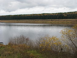В Сосногорске река Ижма загрязнена фенолом