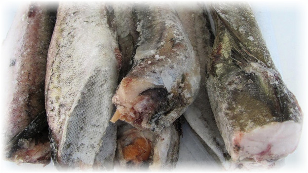 В Ухте продают отравленную мышьяком рыбу