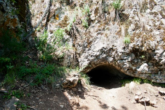 В Коми в пещере найдено кладбище медведей, которым около 40 тысяч лет