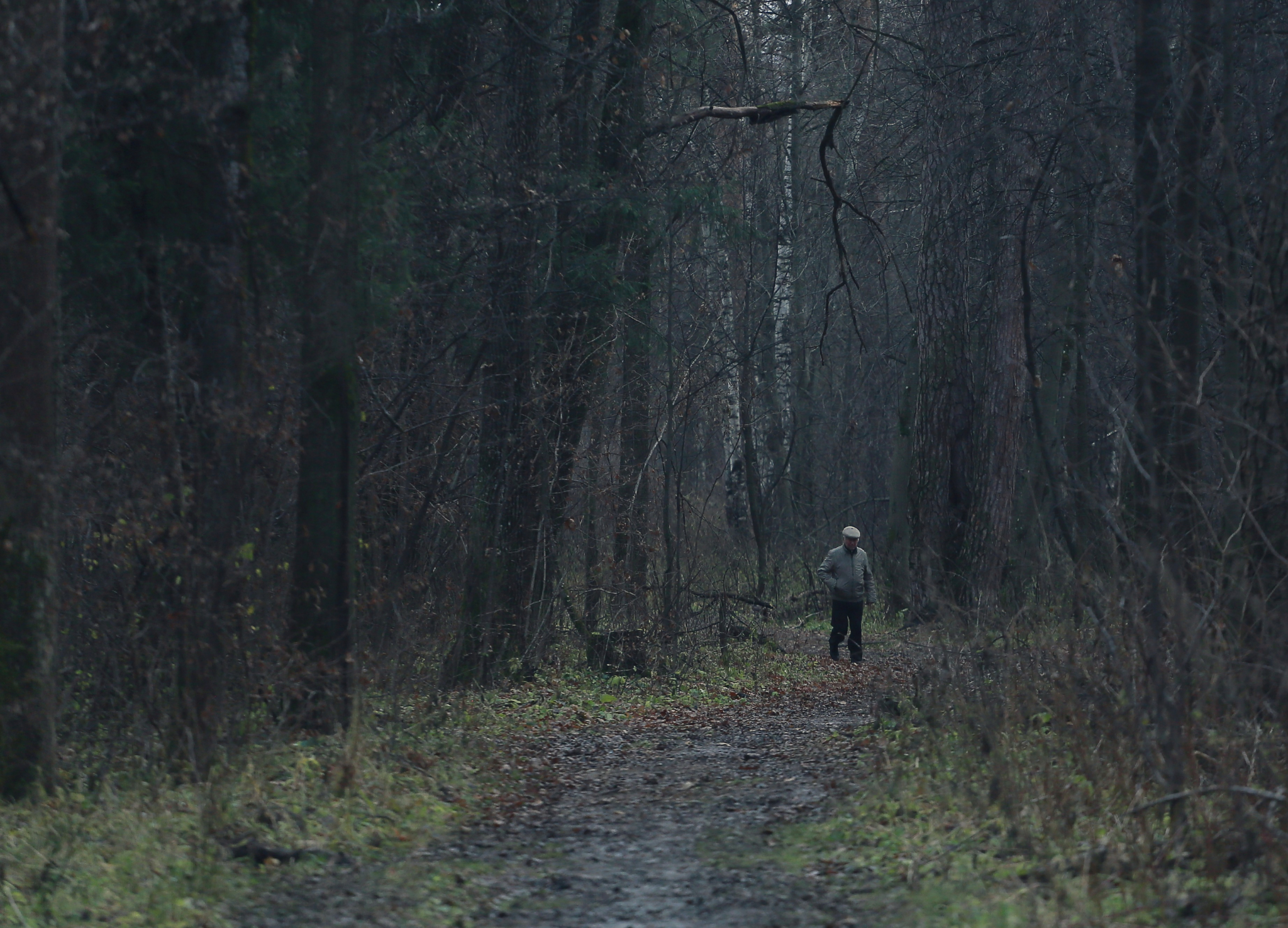 В Коми родственники забыли в лесу мужчину с синдромом Дауна