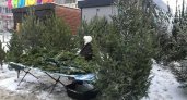 Жители Коми купили на Новый год более 5 тысяч живых елок