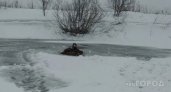 В Коми  на реке трагически погиб мужчина