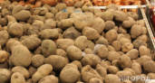 Дачникам Коми рассказали, как спасти урожай картофеля