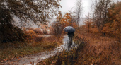 Потепление на фоне дождей: перипетии погоды в Республике Коми