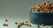 «Не вздумайте брать»: в корме для животных премиум-класса нашли яд