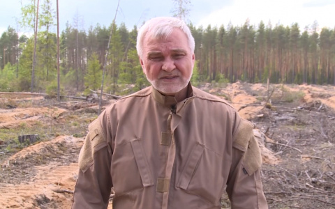 Владимир Уйба рассказал о восстановлении лесов и появлении новых ферм в Коми