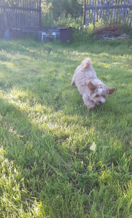 Ермолин Руслан