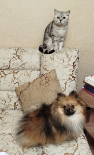 Наша дружная семейка