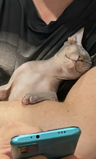 Маленький микроб