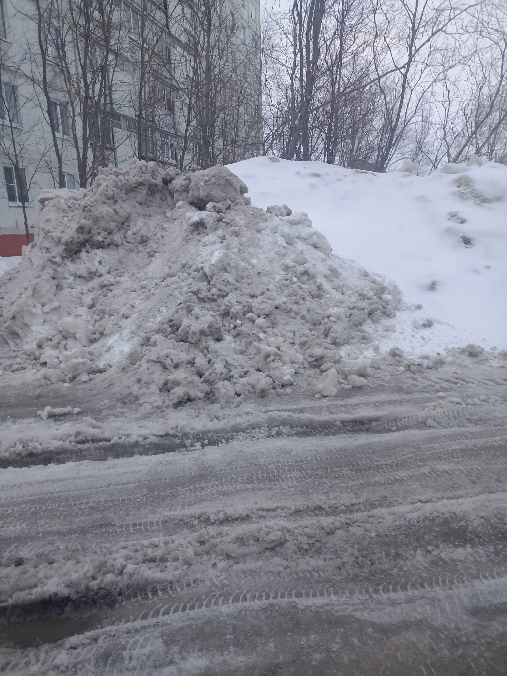 Изображение к жалобе