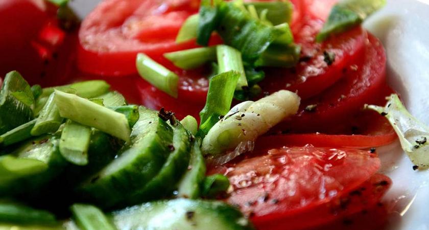 Врачи объяснили, почему в салате нельзя смешивать огурцы и помидоры