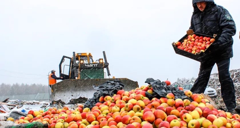 В России хотят запретить уничтожение конфискованных продуктов