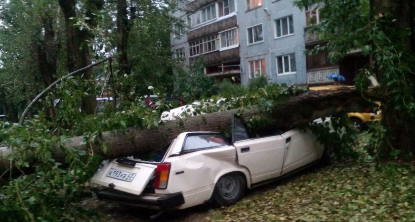 Ухтинец отсудил у администрации больше 100 тысяч за разбитый автомобиль