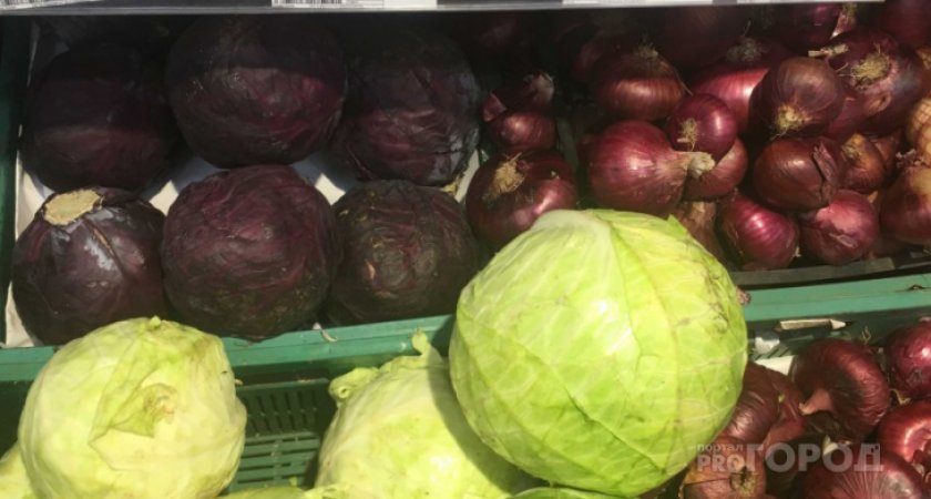 "Суп по цене деликатеса": Комистат сообщил о значительном подорожании борща в Коми