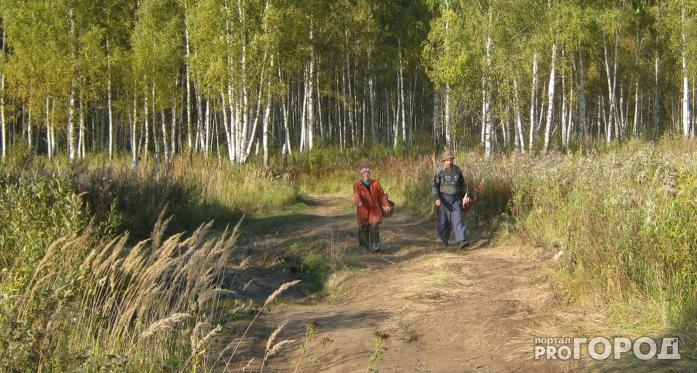 В Ухте спасатели вывели из леса потерявшихся супругов пенсионеров