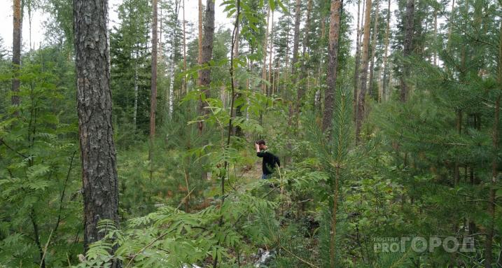В Сосногорске спасатели вывели из леса женщину, которая сбежала от троих мужчин