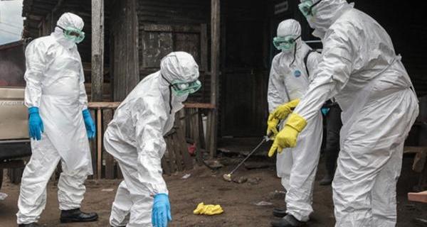 В Китае выявили случай заражения человека бубонной чумой