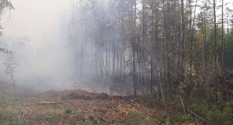 В Коми происходят одни из самых страшных пожаров по стране