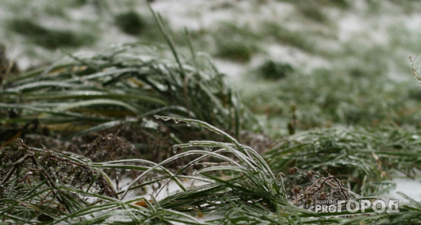 "К середине недели сформируется снежный покров": какая погода ждет ухтинцев