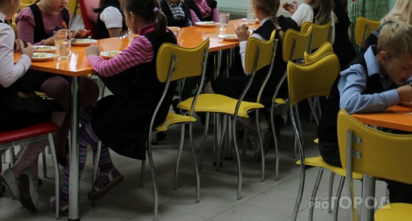 В одной из школ в Коми нашли фальшивый сыр