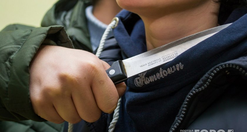 В Коми мужчина с ножом напал на школьника