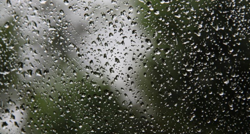 "Сапоги и дождевик": как долго в Ухте продлится дождливая погода