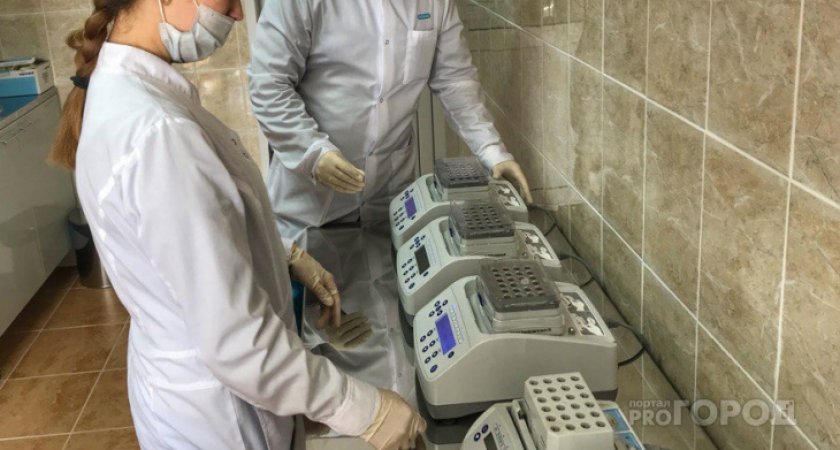 Россиянам предсказали новые волны пандемии