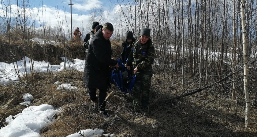 Ухтинских волонтеров обучили поиску людей в лесу