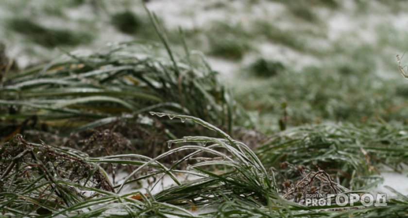 В районах Республики Коми снова ожидаются заморозки