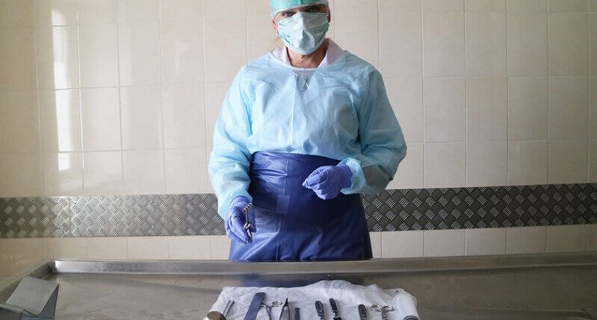 Эксперты в области медицины из республики Коми получили награды от Владимира Путина