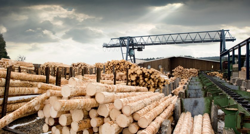 "Экспорт из Коми'': шестьсот тысяч кубометров древесины отправится за границу