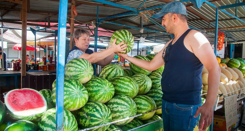 Ранние арбузы - вред или польза? 