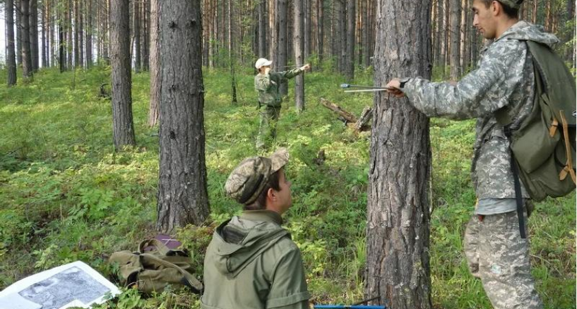 "Будьте аккуратнее": в Коми пострадало свыше тысячи людей от укуса клещей