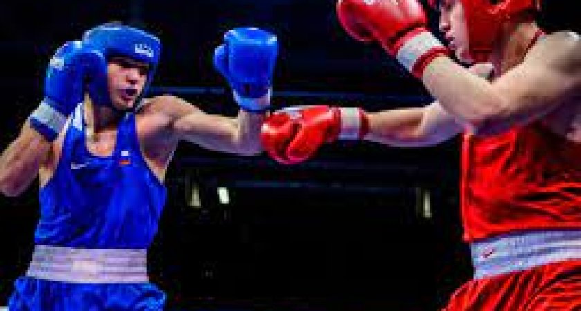 "Гордость республики": спортсмены привезли в Коми множество наград 