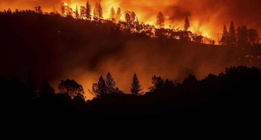 "Леса горят": за два дня в Коми потушили несколько лесных пожаров