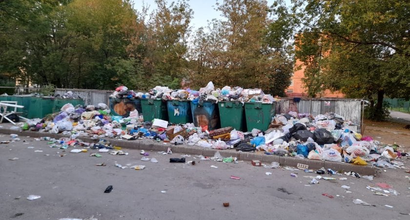 Ухтинский бизнесмен заплатил штраф за нелегальное размещение мусора