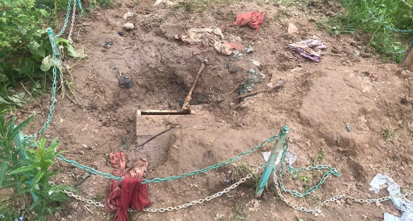 Медведи раскапывают захоронения на кладбище в Ухте
