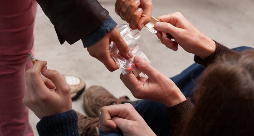 "Остановим поток опиума": результаты борьбы с наркотиками в Коми 