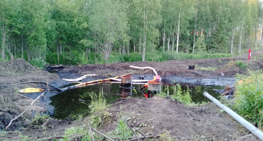Спор экоактивистов, властей и нефтяников: когда под Ухтой прорвало нефтепровод