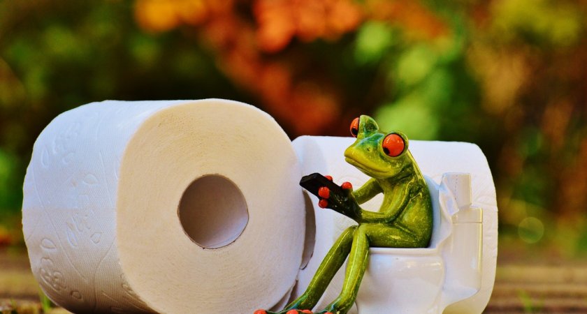 «Почти даром»: в Коми рухнули цены на туалетную бумагу