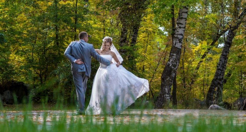 "Чужая свадьба": в Коми восьмого июля распишется более ста пар 