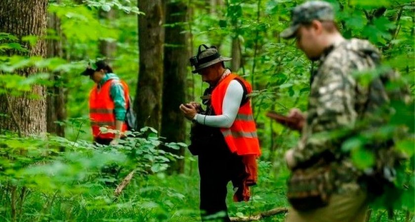 "Он просто хотел от всех скрыться": нашли пропавшего пожилого ухтинца