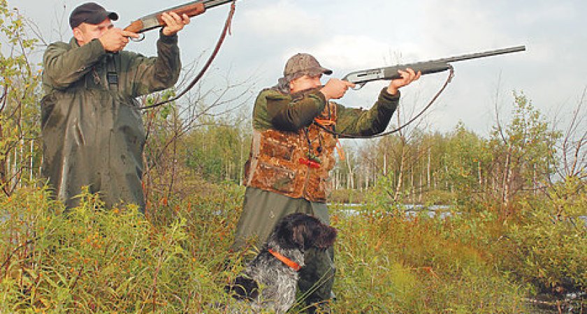 "Они же такие милые": в Коми установили лимит по охоте на выдр и медведей